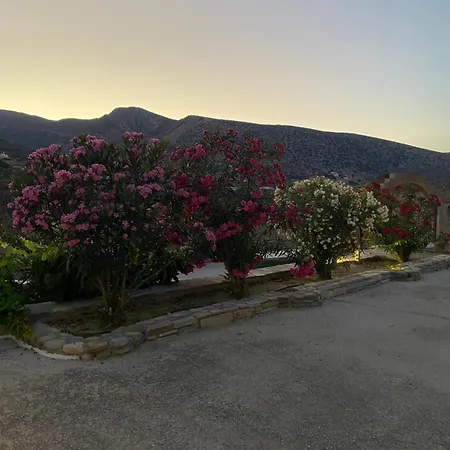 Apartment Dream Catcher 1 *