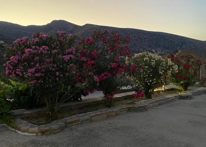 アパート Dream Catcher 1 *